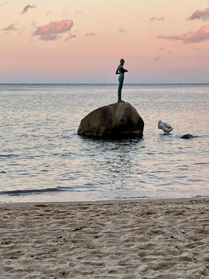 Strandhaus Manatee Mit Sauna Und Kamin ゼリン エクステリア 写真